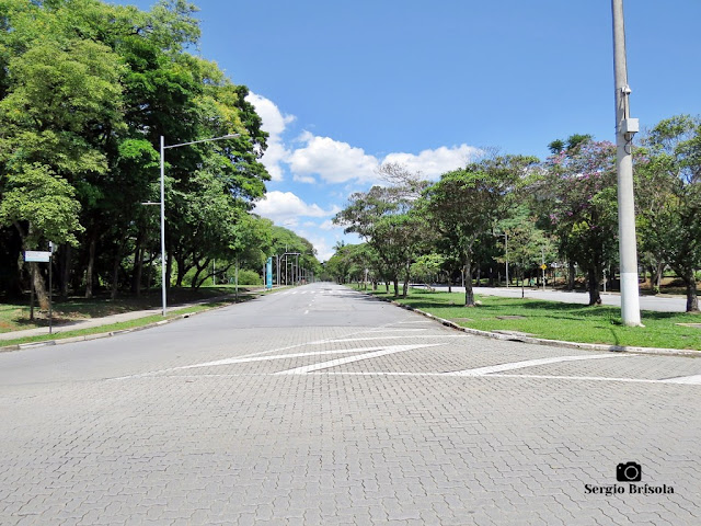 Vista da Avenida Professor Luciano Gualberto - Cidade Universitária (USP) - Butantã