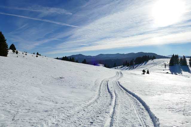 escursione neve inverno ciaspole vallorsara