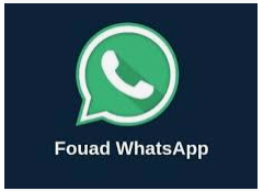 Fouad Whatsapp 9.25 Apk Terbaru 2022 Begini Cara Downloadnya