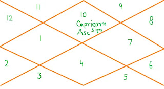 Capricorn-zodiac-sign-in-1st-house