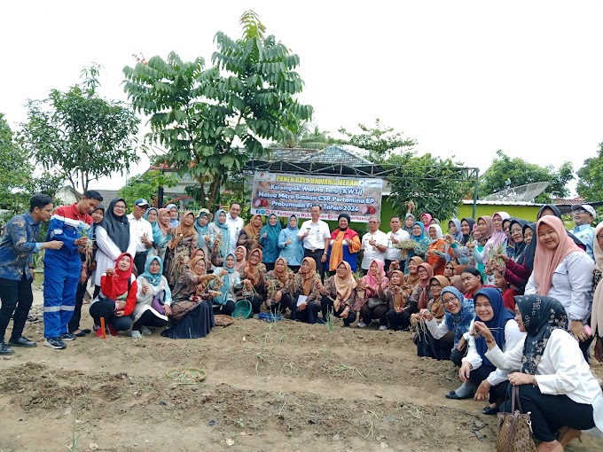 Prabumulih, 03 Juli 2024                         Panen raya bawang merah Kelompok Wanita Tani ( KWT ) Matoa Mitra Binaan CSR Pertamina EP Prabumulih Field Tahun 2024 bersama Penjabat walikota prabumulih Bapak H.Elman, ST. MM beserta ketua Penjabat TP.PKK Kota prabumulih ibu Hj.Windriana  Turut hadir Bapak Sumitan,SP kabid TPH dinas Pertanian kota Prabumulih, Bapak iwan Nusnaneri Kabid PSLB3 Dinas Lingkungan Hidup Kota Prabumulih, Sekretaris Lurah Patih Galung ibu Pice Pitri Ani, S.Kep.M.Si, CSR Pertamina EP Prabumulih ibu Tuti Dwi Patmayati , Camat Prabumulih Barat Bapak Edi suanto, SH. M.Si, Ketua TP.PKK Kelurahan Patih Galung Ibu Fhelpy Mariza Putri, Ketua TP.PKK Kecamatan Prabumulih Barat Ibu Asmarani, Penyuluh KB ( PKB) Kelurahan Patih Galung Ibu Nova Erly Susandra, S.Kep.Ners.M.Si, Bhabinkamtibmas, Ketua Pokja 4 dan Ketua RT RW. Bertempat di KWT Matoa RT 003 RW 001 kelurahan patih galung kecamatan prabumulih Barat. @elman_prabu@denytajudin @fhelpy_06 @edisuanto74 @asmarani_makmun @dkp.prabumulih @pertanian.prabumulih @dinasperikanan.prabumulih @diskominfoprabumulih @spbeprabumulih @kecamatanprabumulihbarat