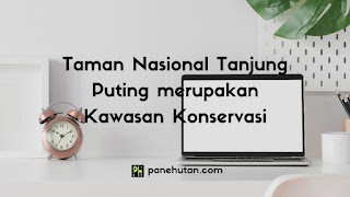 Taman Nasional Tanjung Puting merupakan Kawasan Konservasi