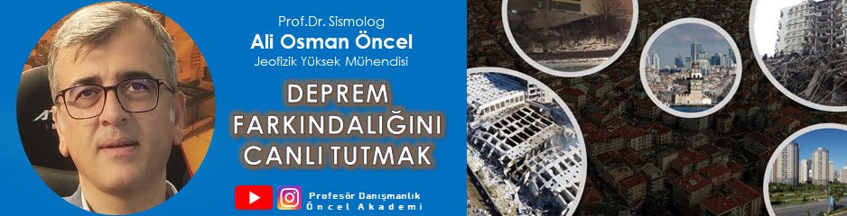 Profesör Danışmanlık 