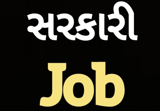 સરકારી job 