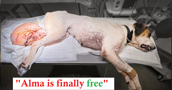 Alma is finally free!!