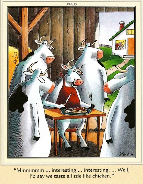 The-Intelligence-of-Cows-of-the-farside