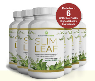 Slim Leaf Reviews#