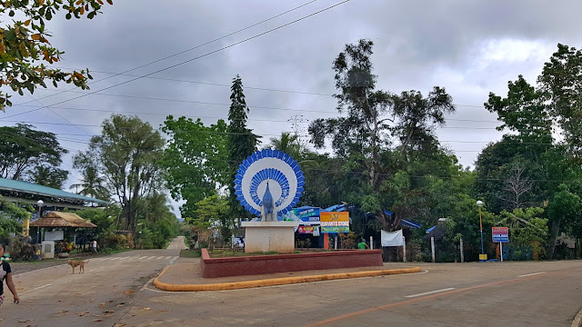 a monument to the Palawan Peacock-Pheasant at the Brgy. Bahile Junction in Puerto Princesa, Palawan