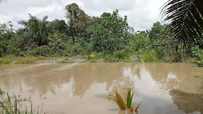 Dampak Banjir Mengakibatkan Peternak Ikan dan Petani Rugi 