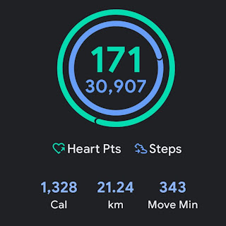 Google Fit data showing over 30,000 steps a day data.