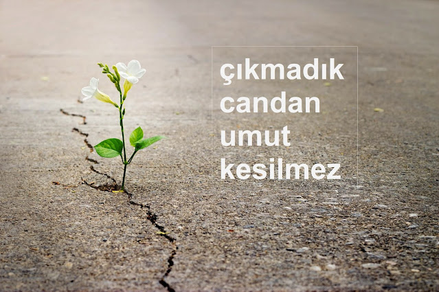 çıkmadık candan umut kesilmez