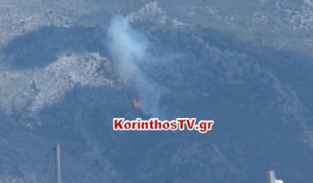 Γεράνεια Όρη : Πυρκαγιά σε δασική έκταση στο Λουτράκι - Στο σημείο σπεύδουν ισχυρές πυροσβεστικές δυνάμεις