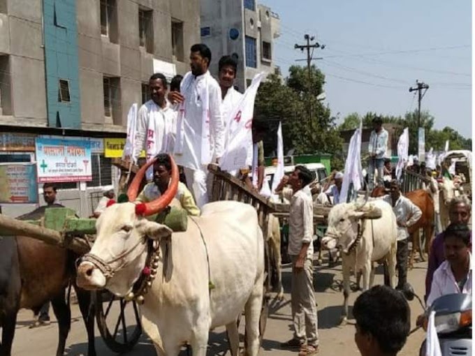  माढा येथे शुक्रवारी समोर बैलगाडी मोर्चा