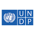 Transforming Data into Action: Become a Communications Analyst for Data at UNDP"
