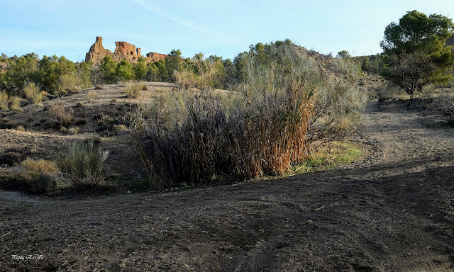 Guadix, Camino de la Cueva del Monje, Badlands, Diente y la Muela.