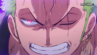 ワンピースアニメ 922話 ワノ国編 | ONE PIECE ロロノア・ゾロ  Roronoa Zoro