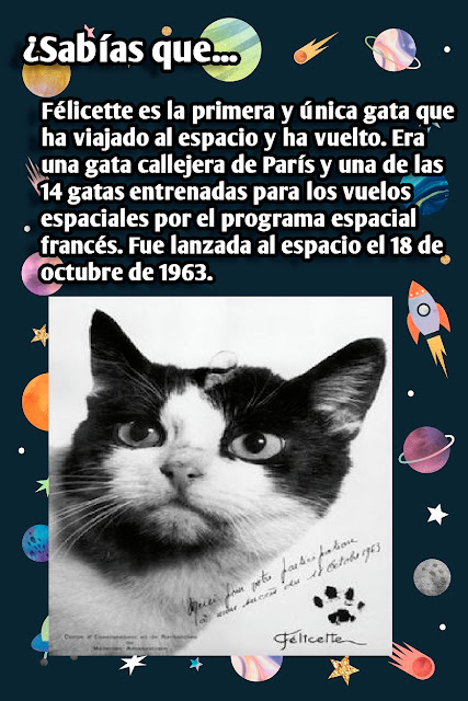 ¿Sabías que, Curiosidades  Félicette la gata que viajo al espacio