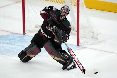 Arizona Coyotes at Dallas Stars