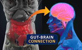 The Gut-Brain Connection
