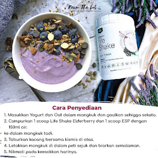 Life Shake Elderberry Shaklee Kebaikan Resepi Cara Minum UV