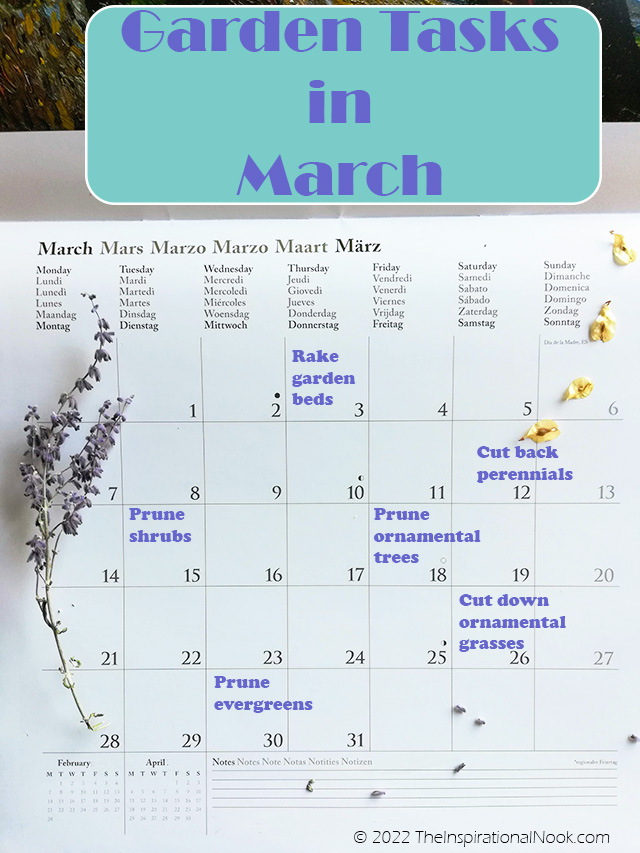March gardening chores, gardening tasks for March, March garden tasks, March garden chores, garden tasks by month, gardening to do list, Garden maintenance checklist, zone 5