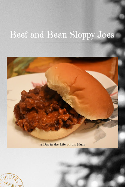 Sloppy Joe pin