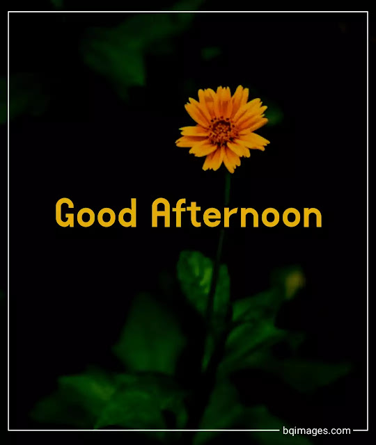 best good afternoon quotes