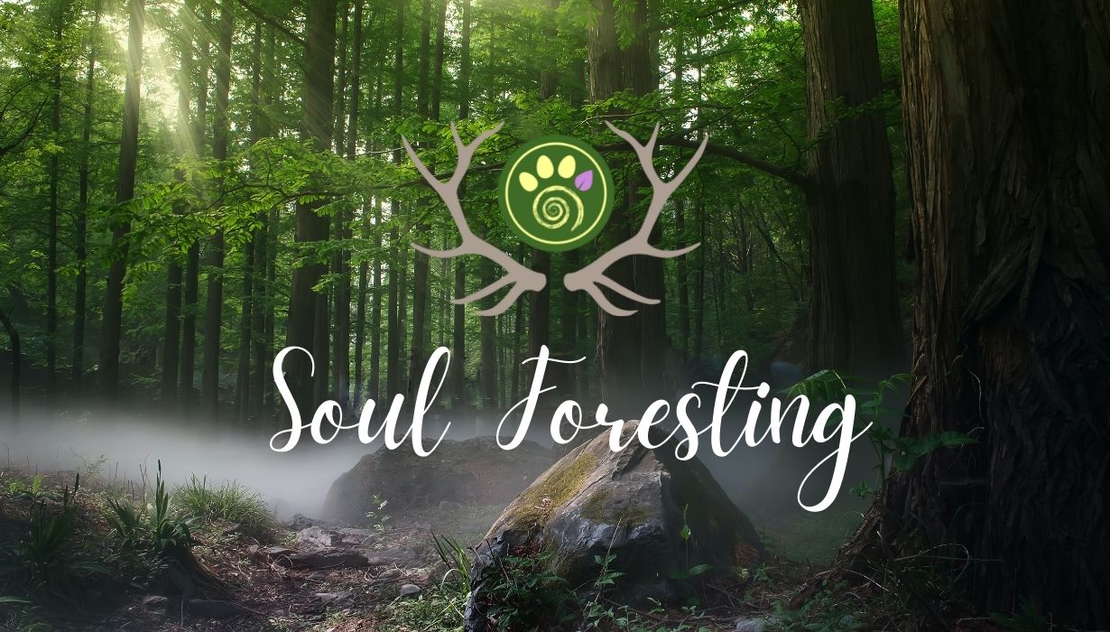 Soul Foresting 