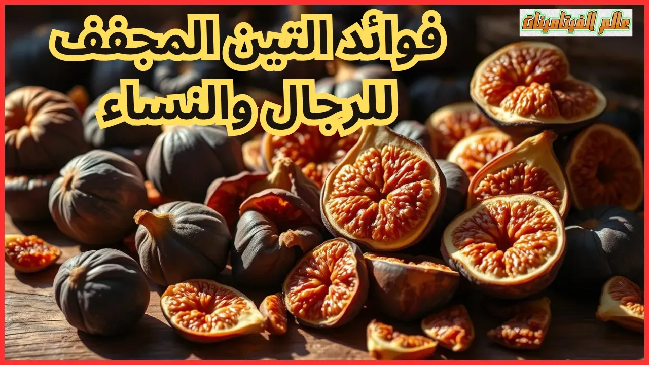 فوائد التين المجفف للرجال والنساء