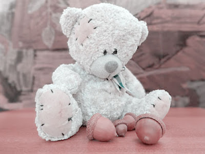 teddy bear dp for whatsapp