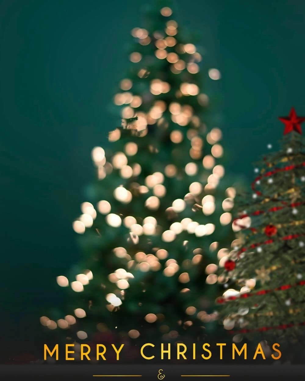 500+ Happy Christmas Editing Background Images | Christmas Background Images for Editing Download