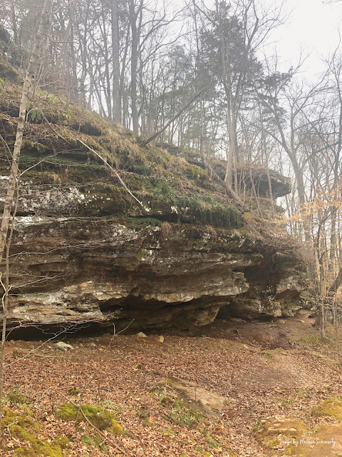 Rock formations intrigue at Ferne Clyffe State Park.