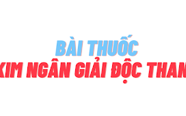 BÀI THUỐC KIM NGÂN GIẢI ĐỘC THANG