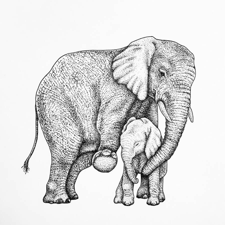 05-Mother-and-baby-elephant-Erika-Persson-www-designstack-co