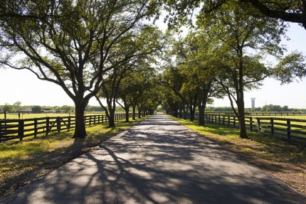 Az út a Southfork -i farmra a Dallasban