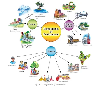 Components of Environment