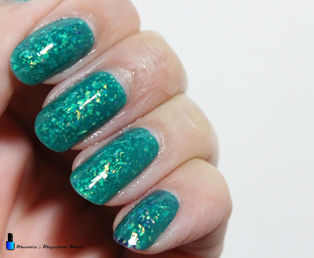 Holo Taco Simply Chaotic