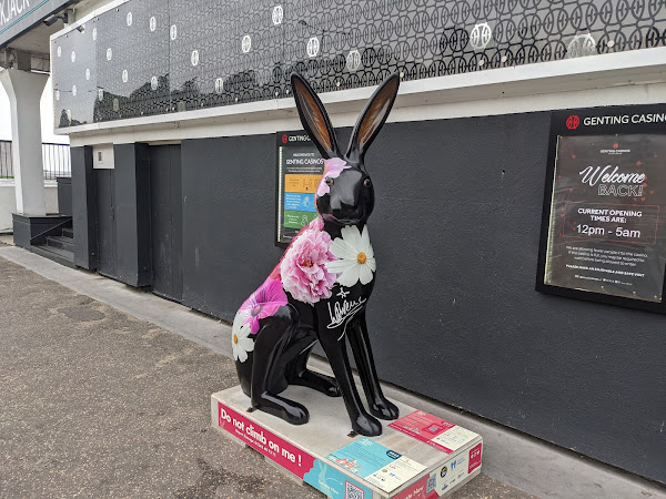 A black hare outside a casino
