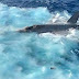 US Navy prepares F-35C recovery op in South China Sea as Japan issues salvage notice