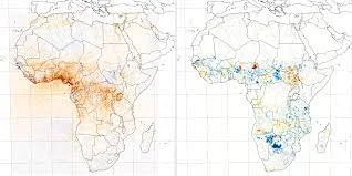 Because of fires and agricultural expansion, ammonia gas pollutes the atmosphere of Africa  Understanding how sources of ammonia emissions change is important for developing policies and technologies that promote sustainable agricultural development, and help mitigate their potential effects on the atmosphere.  The results of a new scientific study showed that the concentration of ammonia gas is constantly rising in the atmosphere of Africa, and researchers have linked this rise to the phenomena of burning biomass and the expansion and intensification of agricultural practices.  The study, which is the first of its kind conducted by NASA during the decade between 2008 and 2018, identified "hot spots" located in West Africa and in the Lake Victoria region, where the highest levels of this polluting gas to the environment and harmful to health were recorded.  Ammonia and its potential sources It is known that ammonia - or ammonia gas whose molecule consists of one nitrogen atom and 3 hydrogen atoms - pollutes the air, and can lead to heart and lung diseases. Its presence in high concentrations in an ecosystem makes the soil more acidic and stunts plant growth.  This gas is naturally emitted from soil and vegetation fires, but previous scientific studies have proven that agricultural activities such as raising livestock and using fertilizers are also major sources of it.  Expanding agriculture to meet the needs of a growing population is likely to lead to higher ammonia emissions as well.  Although scientists have been interested in studying these emissions over a long period in different regions of the world, the situation in Africa has been somewhat neglected by researchers.  To create a comprehensive view of ammonia emissions over Africa, an international team of researchers led by NASA used satellite data from 2008 to 2018, to determine the concentrations, distribution, trends and possible causes of ammonia gas in the continent's atmosphere.  The results of the study were recently published in the scientific journal "Atmospheric Chemistry and Physics" on November 16.  The results of satellite data analysis showed - according to a statement published on the NASA website - that West Africa is among the global hotspots for ammonia emissions in the atmosphere.  The annual increase in the concentration of this gas across Nigeria, for example, is 6% during the months of February and March, coinciding with a rise in carbon monoxide in the atmosphere.  This period coincides with the end of the dry season and farmers preparing their lands by burning them before adding fertilizer, which negates what previous studies have suggested that the increase in ammonia emissions in the region is due to the use of chemical fertilizers in agriculture.The study also identified areas of the Lake Victoria Basin and wetlands in southern Sudan, as regional hotspots for ammonia emissions.  In the Lake Victoria region, the results of the study indicate that the expansion of the agricultural area and the use of fertilizers led to an increase in ammonia concentration during the study period.  The researchers linked the growth of concentrations of this gas over this area with data indicating that farmers were using more fertilizers in agricultural lands that are witnessing a steady increase in their area, according to the statement.  In South Sudan, soil moisture caused a decrease in ammonia concentration during the study period. The wetlands in the "Al-Sad" area, which covers an area of ​​30,000 square kilometers and is fed by the Nile River, was the only area that showed a clear decrease in the ammonia level during the study period, which amounted to about 1.5 percent annually.  The researchers found that ammonia concentrations increase in dry years, when more wetlands dry out, and decrease in rainy years.  Sustainable agriculture to reduce ammonia emissions According to the researchers, agriculture is the largest source of ammonia in the world, although it is also emitted naturally from the soil. The burning of biomass is the second largest source of this polluting gas in the world, and Africa is the origin of nearly 70% of these fires.  As African nations expand their agricultural activity to feed a growing population that will double by mid-century, ammonia concentrations are expected to continue to rise in the atmosphere over the continent in the future.  Understanding how sources of ammonia emissions change, according to the researchers, is important for developing policies and technologies that promote sustainable agricultural development, and help mitigate its potential effects on the atmosphere.  For its part, NASA called for strengthening the capacity to monitor the atmosphere in sub-Saharan Africa.