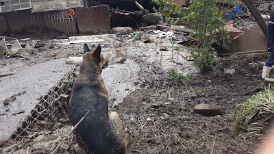 La Gasca Aluvión 2022 Ecuador Quito Fayals