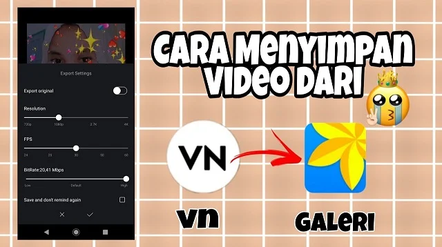 Cara Menyimpan Video Dari Aplikasi VN ke Galeri