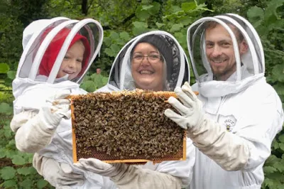 ชุดป้องกันผึ้งต่อย เลือกแบบไหนดี