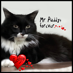 Mr.Puddy Forever