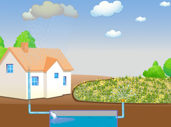 Rainwater Harvesting
