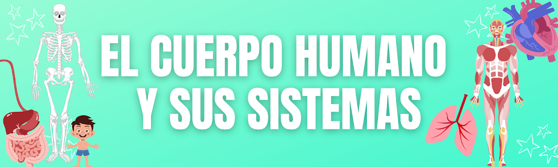 EL CUERPO HUMANO Y SUS SISTEMAS