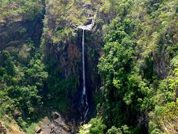 Wildlife Sanctuary of Odisha