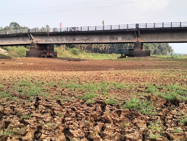 നരണിപ്പുഴ വറ്റി വരണ്ടു; പരിസര പ്രദേശങ്ങളിൽ കുടിവെള്ള ക്ഷാമവും രൂക്ഷം