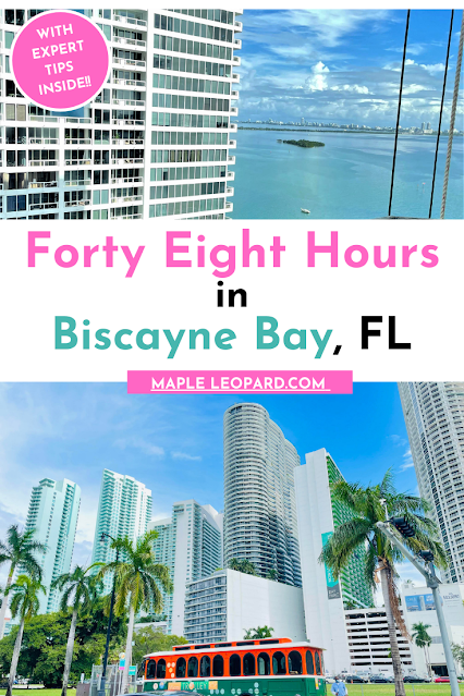 Biscayne Bay, Travel Florida, Pinterest