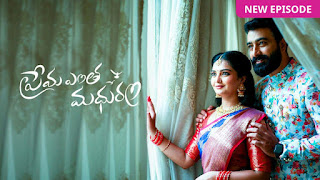 Prema Entha Madhuram, Telugu TV show